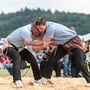 oberaargauisches schwingfest seeberg-grasswil, 23. mai 2015