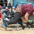 emmentalisches schwingfest schüpbach 11. mai 2014