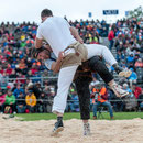 oberländisches schwingfest, sigriswil 29. Juni 2014