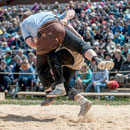 emmentalisches schwingfest schüpbach 11. mai 2014
