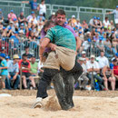 bernisch kantonales schwingfest, st. imier 10. august 2014
