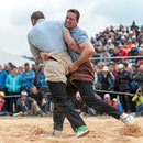 oberaargauisches schwingfest seeberg-grasswil, 23. mai 2015