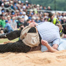oberaargauisches schwingfest seeberg-grasswil, 23. mai 2015