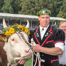 Eidg. Schwingfest Burgdorf 2013