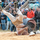 oberaargauisches schwingfest seeberg-grasswil, 23. mai 2015