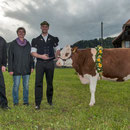 emmentalisches schwingfest schüpbach 11. mai 2014