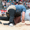 bernisch kantonales schwingfest, st. imier 10. august 2014