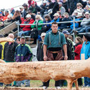 oberaargauisches schwingfest seeberg-grasswil, 23. mai 2015