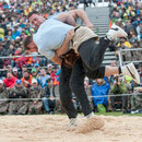 oberländisches schwingfest, sigriswil 29. Juni 2014