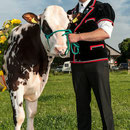 oberaargauisches schwingfest 7. Juni 2014 messen