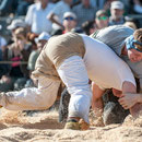 innerschweizerisches schwingfest, cham 6. juli 2014