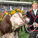 Eidg. Schwingfest Burgdorf 2013