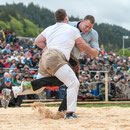 emmentalisches schwingfest schüpbach 11. mai 2014
