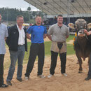 Luzerner Kantonales Schwingfest Wolhusen 3.6.2012