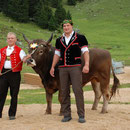 Schwägalp-Schwinget 17.08.2008