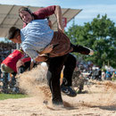 innerschweizerisches schwingfest, cham 6. juli 2014