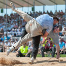 innerschweizerisches schwingfest, cham 6. juli 2014