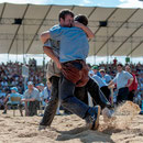 innerschweizerisches schwingfest, cham 6. juli 2014