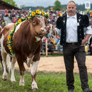 emmentalisches schwingfest schüpbach 11. mai 2014