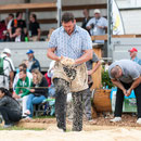 nordwestschweizerisches schwingfest 3. august 2014