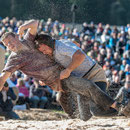 oberländisches schwingfest boltigen, 10. Mai 2015