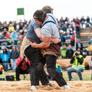 oberaargauisches schwingfest seeberg-grasswil, 23. mai 2015