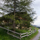 schwingerweg springenboden 20. juni 2014