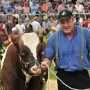 Emmentalisches Schwingfest 20. 05. 2012