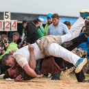 oberaargauisches schwingfest seeberg-grasswil, 23. mai 2015