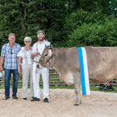 luzerner kantonales schwingfest, 7. Juni 2015 inwil