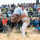 oberaargauisches schwingfest seeberg-grasswil, 23. mai 2015