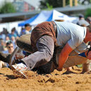Nordwestschweizerisches Schwingfest Allschwul 2013