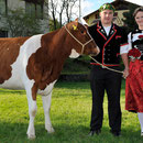 Emmentalisches Schwingfest Trub 2013
