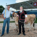 innerschweizerisches schwingfest, cham 6. juli 2014