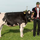 oberaargauisches schwingfest 7. Juni 2014 messen