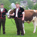 Emmentalisches Schwingfest Burgdorf 16.05.2005
