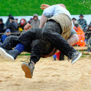 Emmentalisches Schwingfest Trub 2013