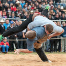 oberaargauisches schwingfest seeberg-grasswil, 23. mai 2015