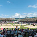 luzerner kantonales schwingfest, 7. Juni 2015 inwil