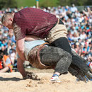 oberländisches schwingfest boltigen, 10. Mai 2015