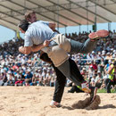 innerschweizerisches schwingfest, cham 6. juli 2014