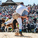 emmentalisches schwingfest schüpbach 11. mai 2014