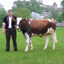 Emmentalisches Schwingfest Burgdorf 16.05.2005