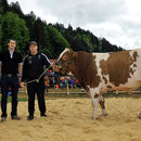Emmentalisches Schwingfest Trub 2013