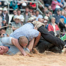 oberaargauisches schwingfest seeberg-grasswil, 23. mai 2015