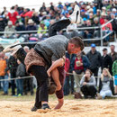 oberaargauisches schwingfest seeberg-grasswil, 23. mai 2015