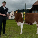 emmentalisches schwingfest schüpbach 11. mai 2014