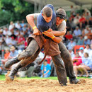 Nordwestschweizerisches Schwingfest Allschwul 2013