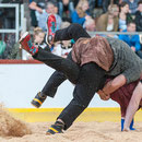 emmentalisches schwingfest langnau, 17. mai 2015