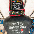 oberaargauisches schwingfest seeberg-grasswil, 23. mai 2015